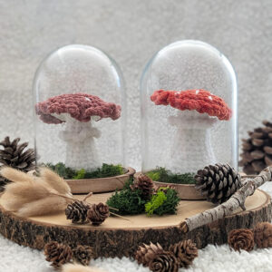 Cabinet de curiosité - décoration champignon phosphorescent